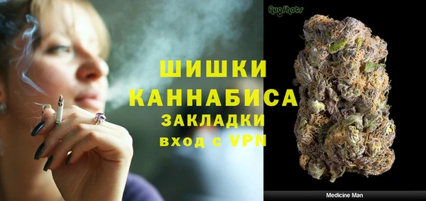 apvp Каменка
