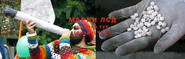 apvp Каменка