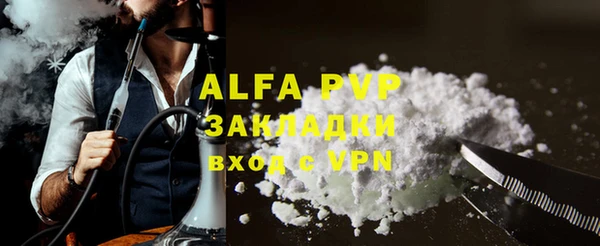 apvp Каменка