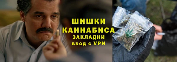 apvp Каменка