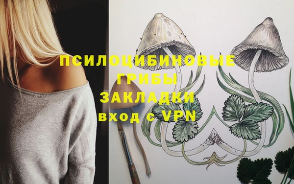 сатива Каменск-Шахтинский
