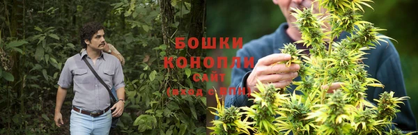 ALPHA-PVP Каменногорск