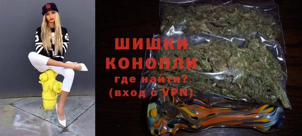 сатива Каменск-Шахтинский