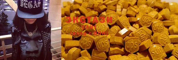 apvp Каменка