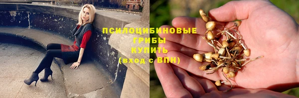 сатива Каменск-Шахтинский